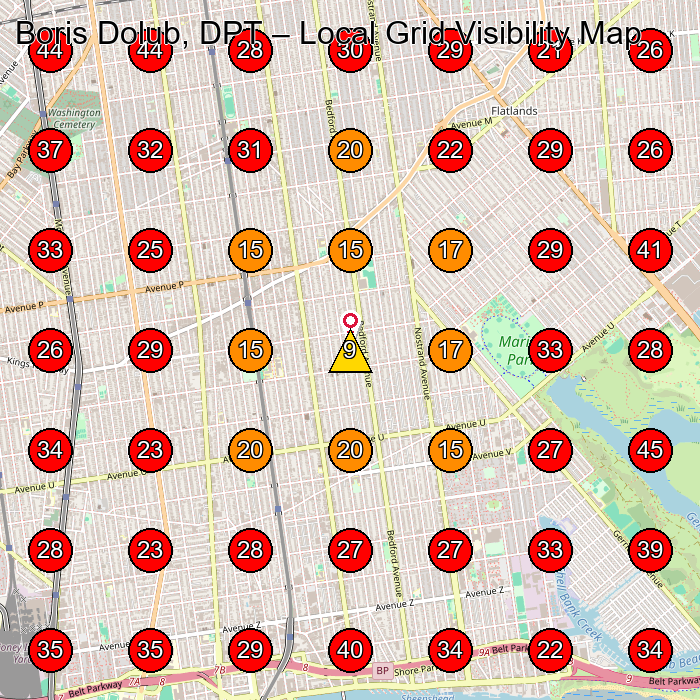 Boris Dolub, DPT GeoGrid visibility map for Sportwear Manufacturer in Brooklyn